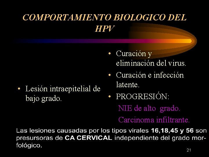COMPORTAMIENTO BIOLOGICO DEL HPV • Curación y eliminación del virus. • Curación e infección