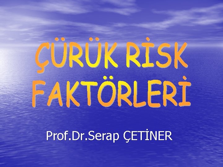 Prof. Dr. Serap ÇETİNER 