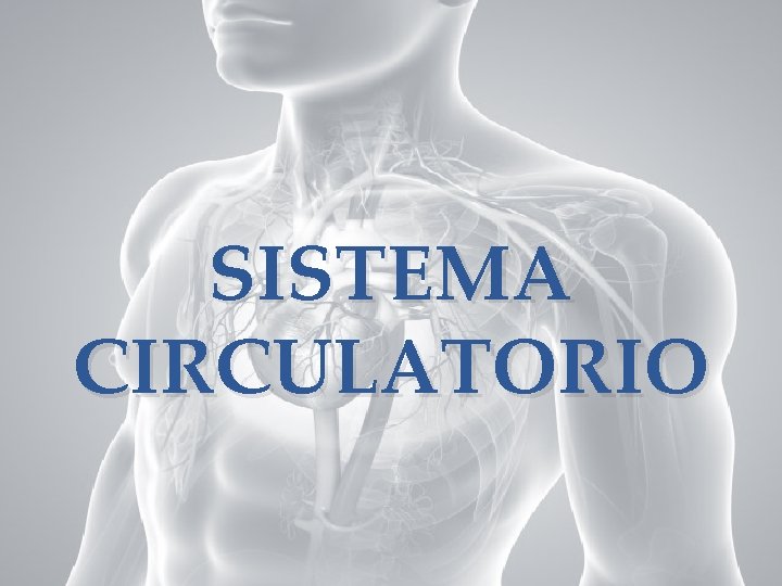 SISTEMA CIRCULATORIO 