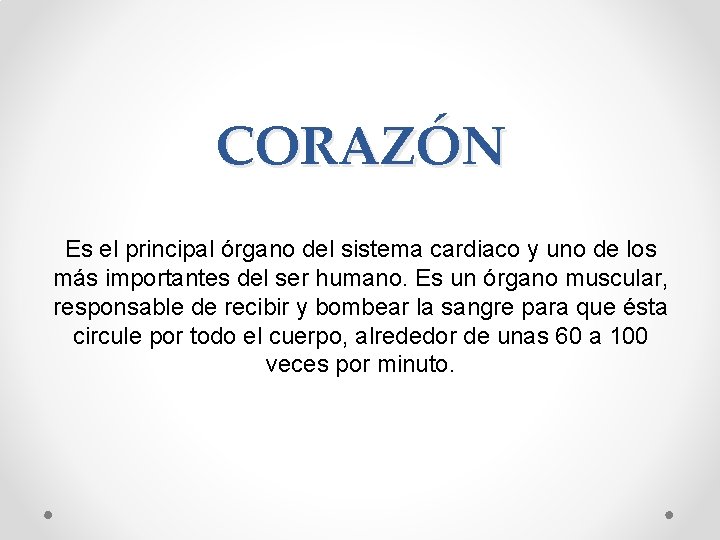 CORAZÓN Es el principal órgano del sistema cardiaco y uno de los más importantes