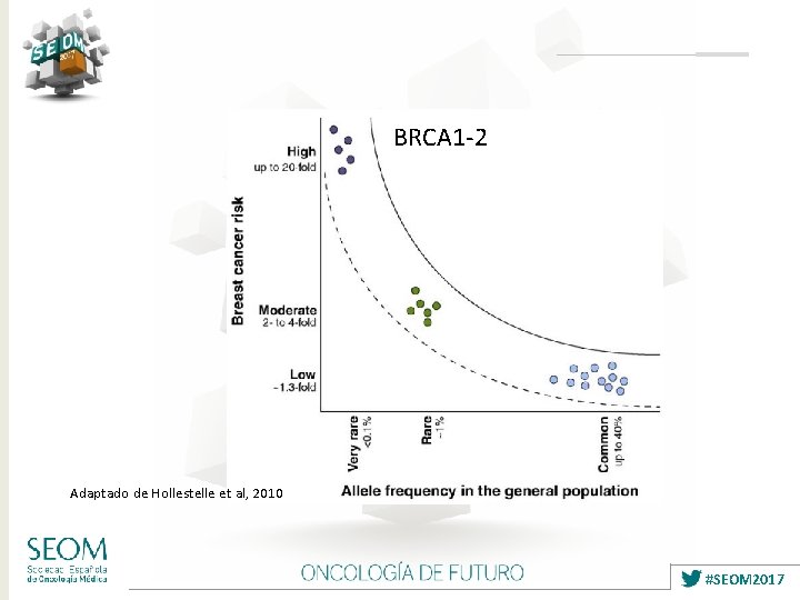 BRCA 1 -2 Adaptado de Hollestelle et al, 2010 #SEOM 2017 