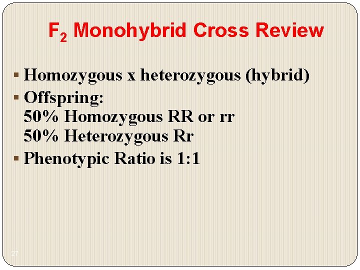 F 2 Monohybrid Cross Review § Homozygous x heterozygous (hybrid) § Offspring: 50% Homozygous F 2 Monohybrid Cross Review § Homozygous x heterozygous (hybrid) § Offspring: 50% Homozygous