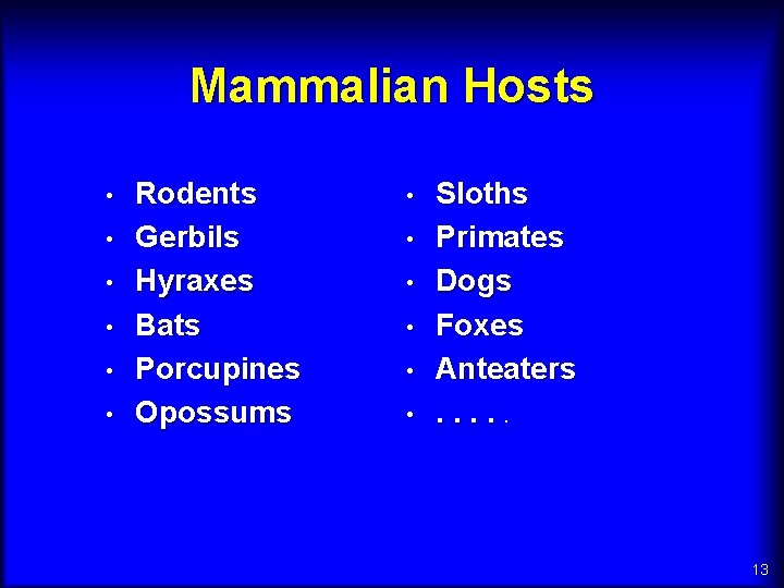 Mammalian Hosts • • • Rodents Gerbils Hyraxes Bats Porcupines Opossums • • •