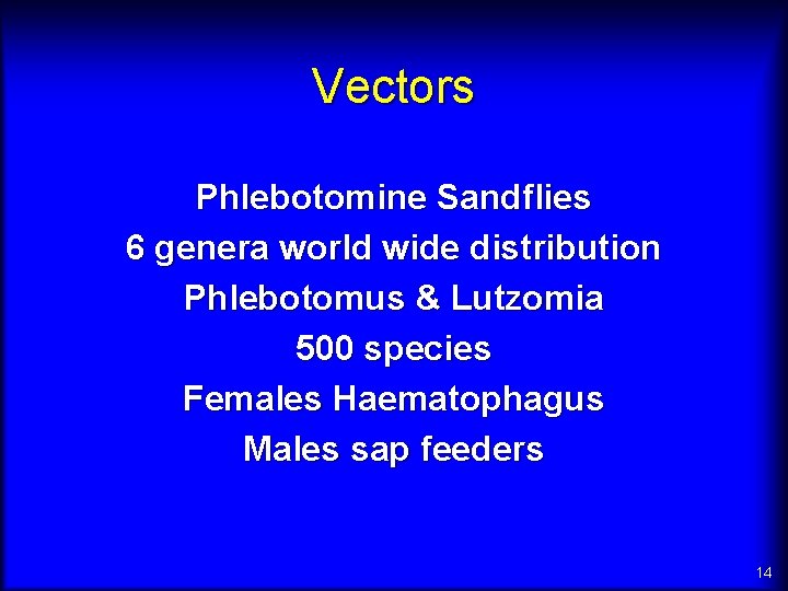 Vectors Phlebotomine Sandflies 6 genera world wide distribution Phlebotomus & Lutzomia 500 species Females