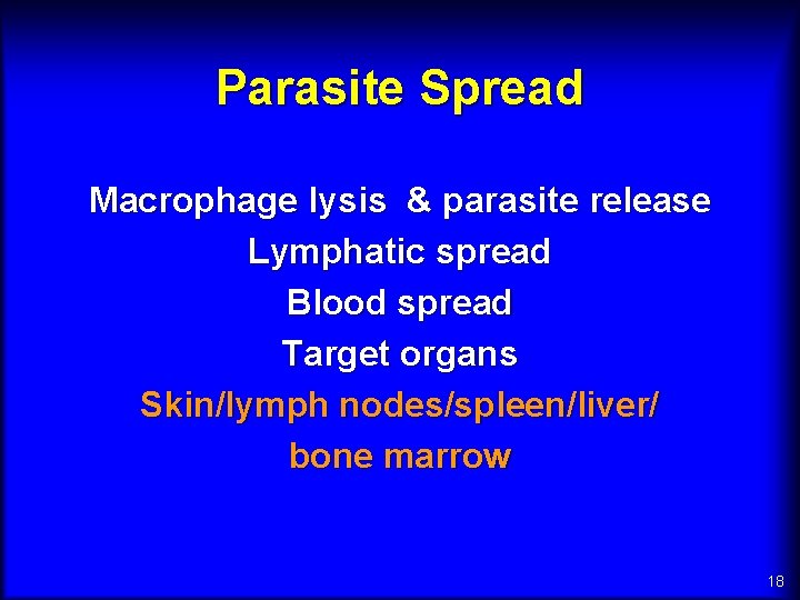 Parasite Spread Macrophage lysis & parasite release Lymphatic spread Blood spread Target organs Skin/lymph