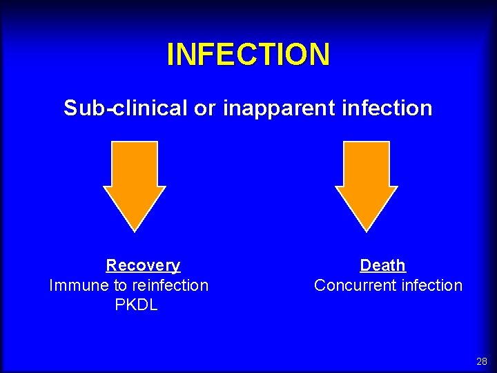 INFECTION Sub-clinical or inapparent infection Recovery Death Immune to reinfection Concurrent infection PKDL 28