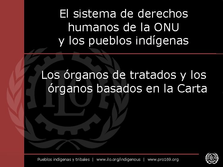 El sistema de derechos humanos de la ONU