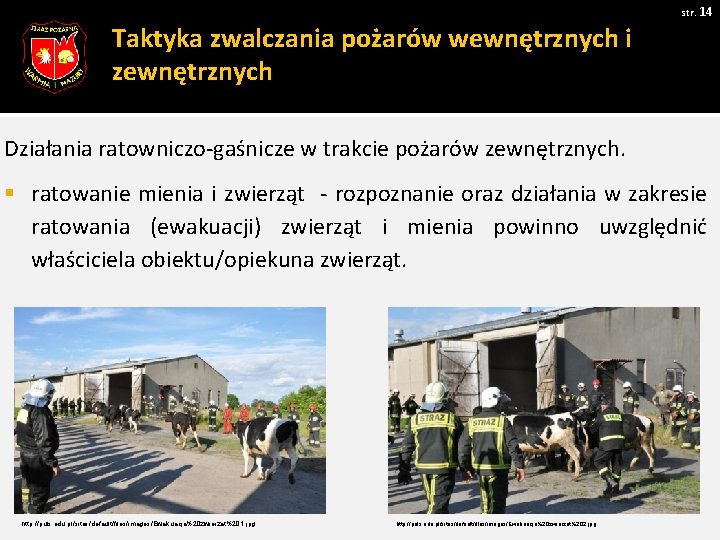 str. 14 Taktyka zwalczania pożarów wewnętrznych i zewnętrznych Działania ratowniczo-gaśnicze w trakcie pożarów zewnętrznych.