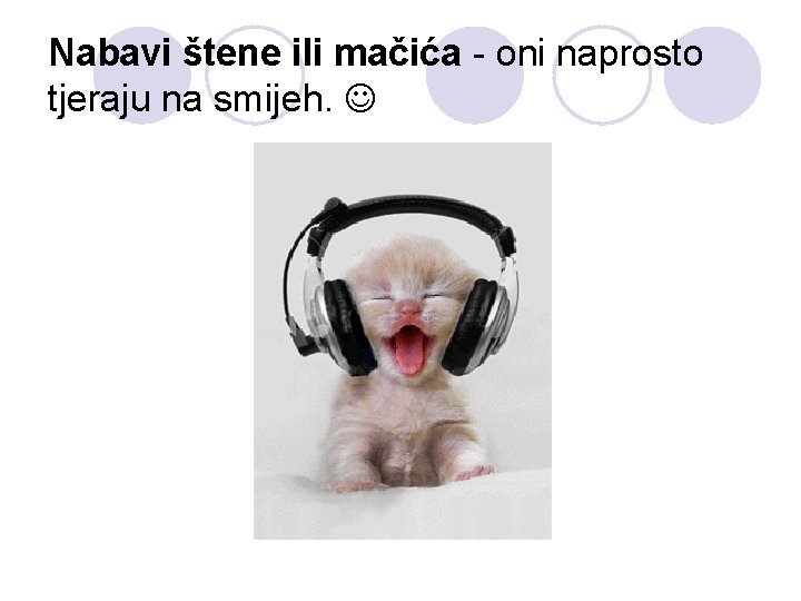 Nabavi štene ili mačića - oni naprosto tjeraju na smijeh. 