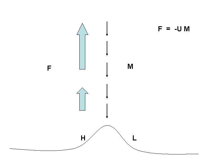 F = -U M M F H L 