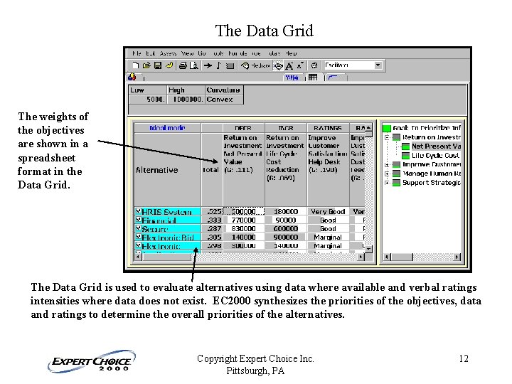 The Data Grid The weights of the objectives are shown in a spreadsheet format The Data Grid The weights of the objectives are shown in a spreadsheet format
