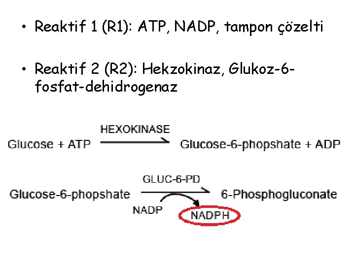  • Reaktif 1 (R 1): ATP, NADP, tampon çözelti • Reaktif 2 (R