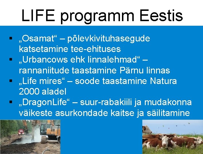 LIFE programm Eestis § „Osamat“ – põlevkivituhasegude katsetamine tee-ehituses § „Urbancows ehk linnalehmad“ –