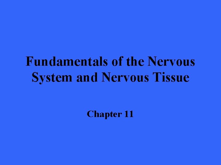 Fundamentals of the Nervous System and Nervous Tissue Chapter 11 