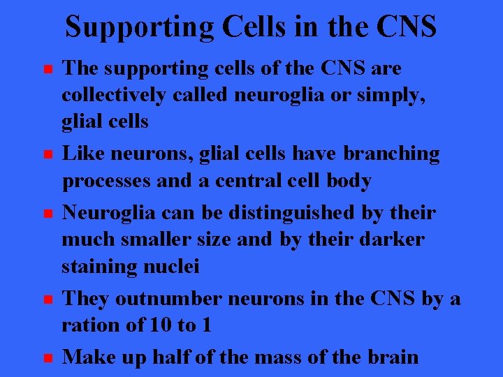 Supporting Cells in the CNS n n n The supporting cells of the CNS