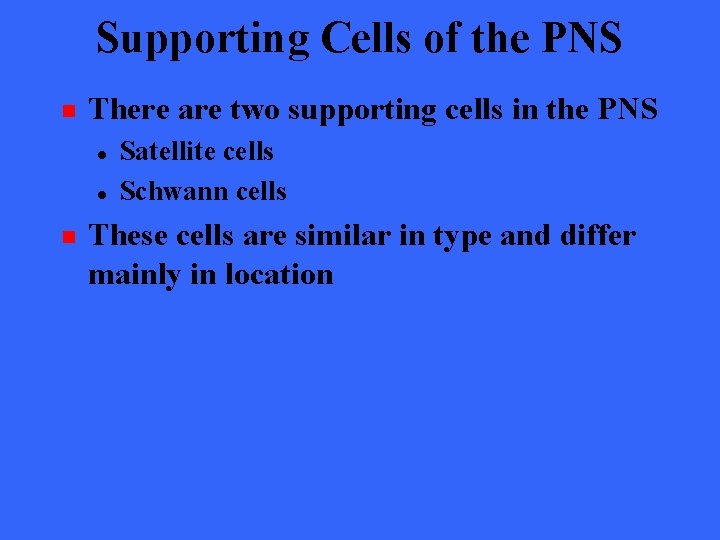 Supporting Cells of the PNS n There are two supporting cells in the PNS