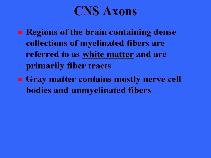 CNS Axons n n Regions of the brain containing dense collections of myelinated fibers