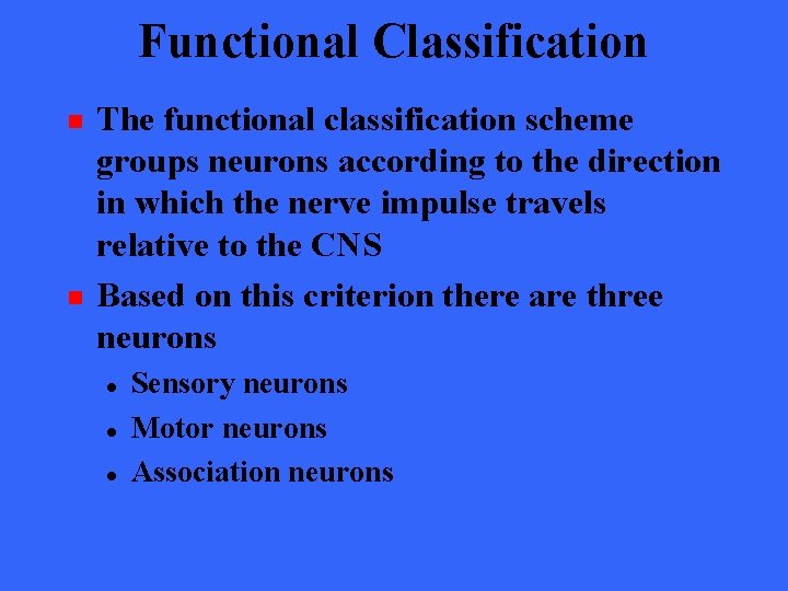 Functional Classification n n The functional classification scheme groups neurons according to the direction