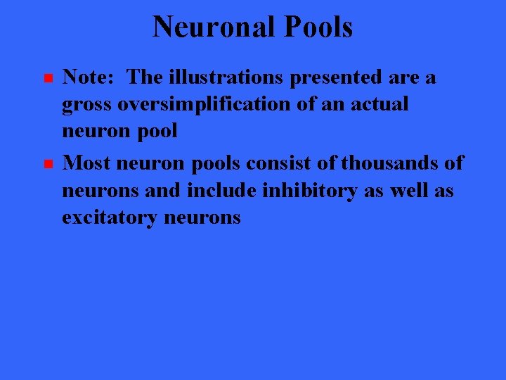 Neuronal Pools n n Note: The illustrations presented are a gross oversimplification of an