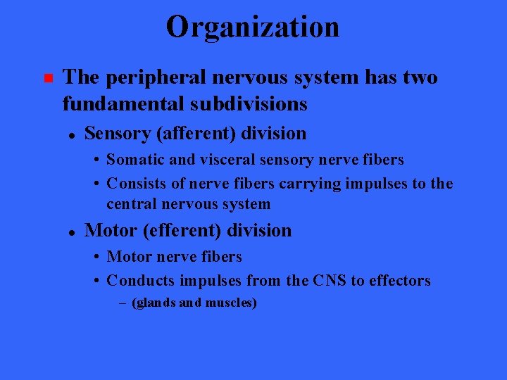 Organization n The peripheral nervous system has two fundamental subdivisions l Sensory (afferent) division