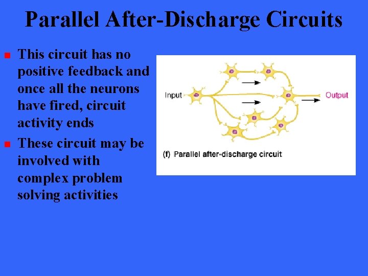 Parallel After-Discharge Circuits n n This circuit has no positive feedback and once all