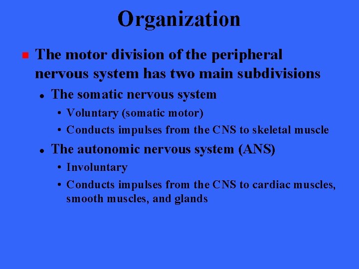 Organization n The motor division of the peripheral nervous system has two main subdivisions