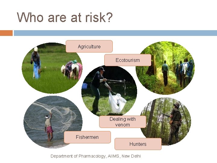 Who are at risk? Agriculture Ecotourism Dealing with venom Fishermen Hunters Department of Pharmacology,