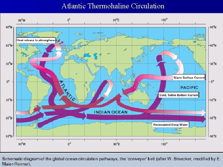 Atlantic Thermohaline Circulation Arctic Ice Sheets 