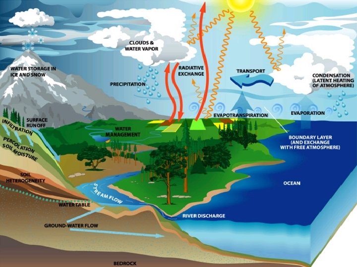 The Global Water Cycle 