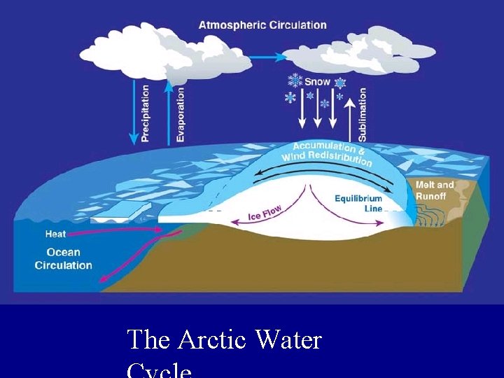 The Global Water Cycle • Global and Arctic Water Cycles The Arctic Water 