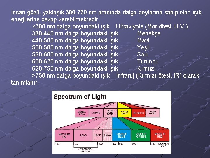 İnsan gözü, yaklaşık 380 -750 nm arasında dalga boylarına sahip olan ışık enerjilerine cevap