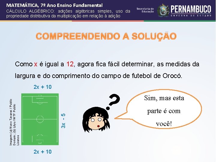 MATEMÁTICA, 7º Ano Ensino Fundamental CÁLCULO ALGÉBRICO: adições algébricas simples, uso da propriedade distributiva