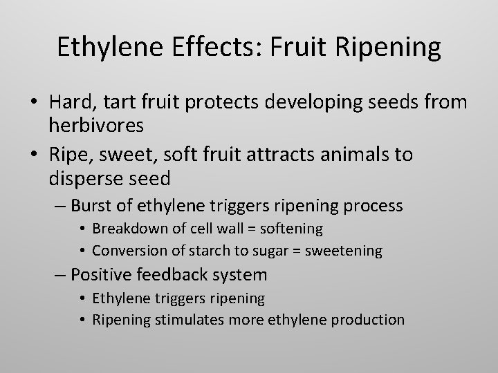 Ethylene Effects: Fruit Ripening • Hard, tart fruit protects developing seeds from herbivores •