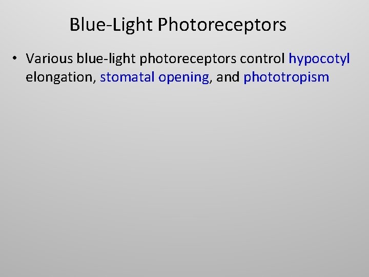 Blue-Light Photoreceptors • Various blue-light photoreceptors control hypocotyl elongation, stomatal opening, and phototropism 