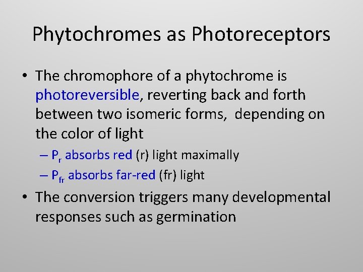 Phytochromes as Photoreceptors • The chromophore of a phytochrome is photoreversible, reverting back and