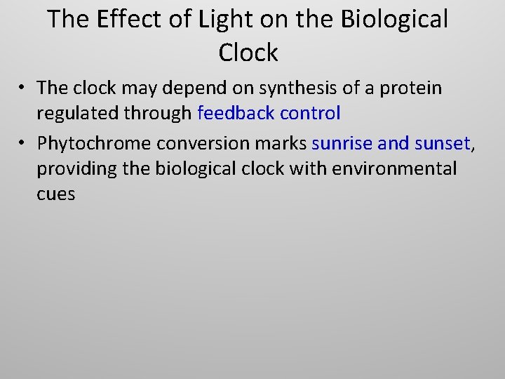 The Effect of Light on the Biological Clock • The clock may depend on