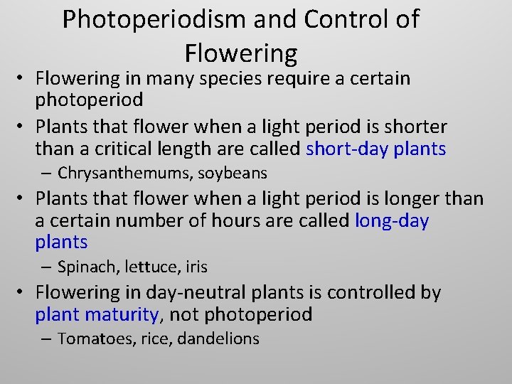 Photoperiodism and Control of Flowering • Flowering in many species require a certain photoperiod