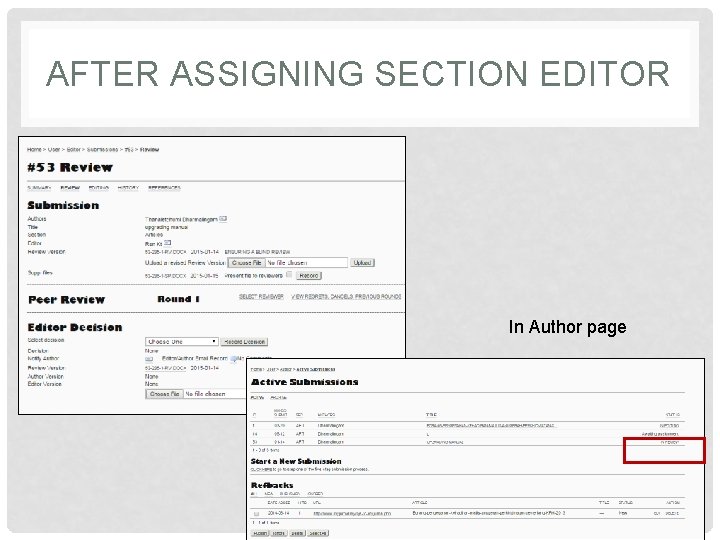 AFTER ASSIGNING SECTION EDITOR In Author page 