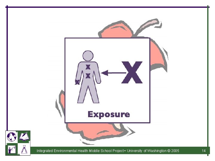 Integrated Environmental Health Middle School Project • University of Washington © 2005 14 