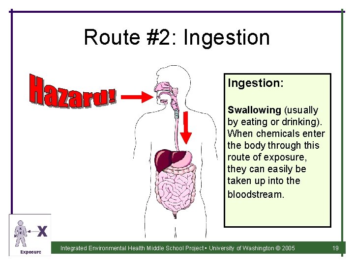 Route #2: Ingestion: Swallowing (usually by eating or drinking). When chemicals enter the body