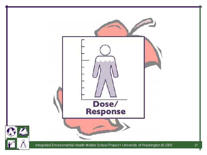 Integrated Environmental Health Middle School Project • University of Washington © 2005 21 