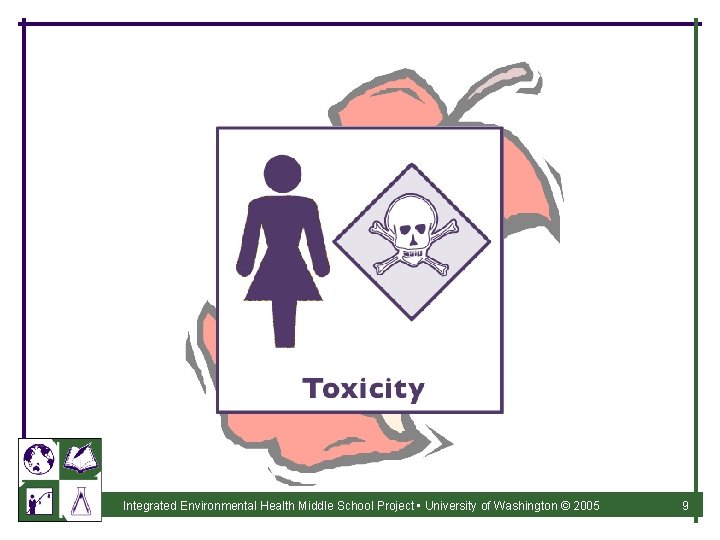 Integrated Environmental Health Middle School Project • University of Washington © 2005 9 