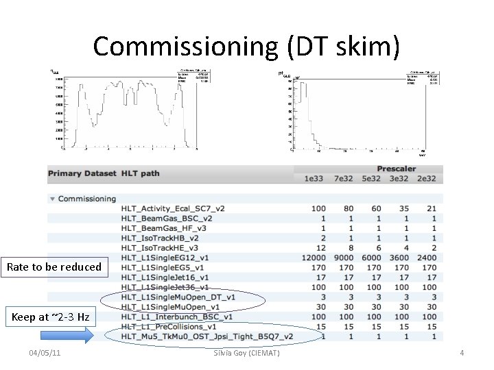 Commissioning (DT skim) Rate to be reduced Keep at ~2 -3 Hz 04/05/11 Silvia