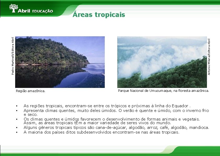 Antonio Milena/Editora Abril Pedro Martinelli/Editora Abril Áreas tropicais Região amazônica. • • • Parque