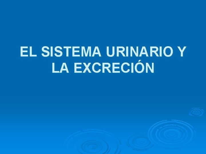 EL SISTEMA URINARIO Y LA EXCRECIÓN 