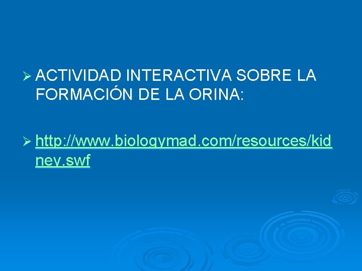 Ø ACTIVIDAD INTERACTIVA SOBRE LA FORMACIÓN DE LA ORINA: Ø http: //www. biologymad. com/resources/kid