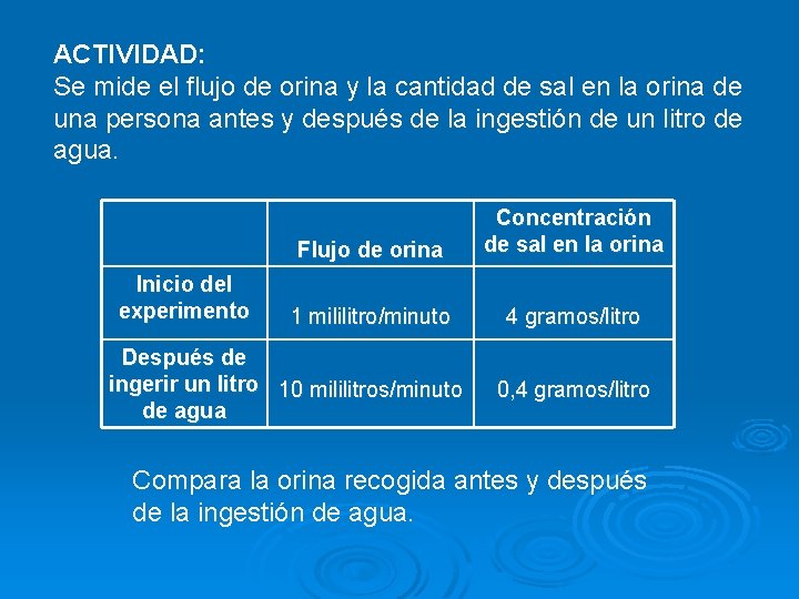 ACTIVIDAD: Se mide el flujo de orina y la cantidad de sal en la