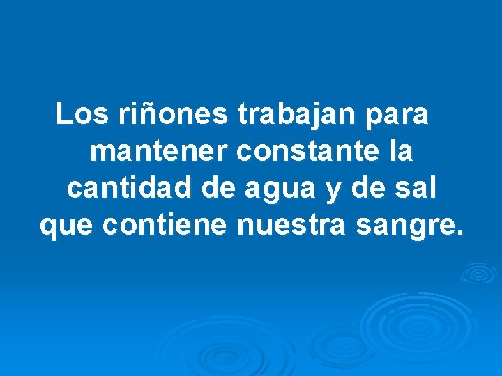 Los riñones trabajan para mantener constante la cantidad de agua y de sal que
