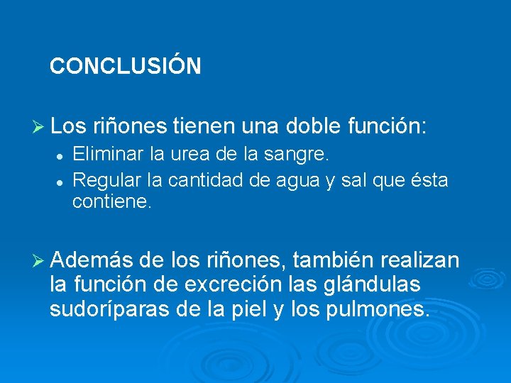 CONCLUSIÓN Ø Los riñones tienen una doble función: l l Eliminar la urea de