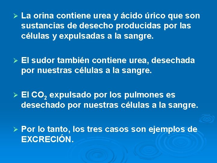 Ø La orina contiene urea y ácido úrico que son sustancias de desecho producidas